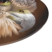 MERLIN FALCON BIRD VAN PREY SNIJPLANK (Hoek)