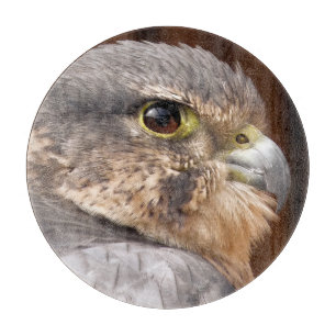 MERLIN FALCON BIRD VAN PREY SNIJPLANK