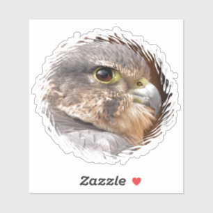 MERLIN FALCON BIRD VAN PREY STICKER