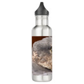 MERLIN FALCON BIRD VAN PREY WATERFLES  (Links)