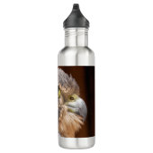 MERLIN FALCON BIRD VAN PREY WATERFLES  (Rechts)