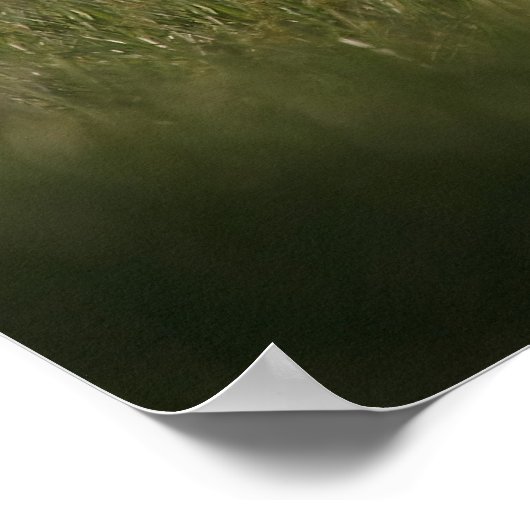 Merlin Falcon vlucht Poster (Hoek)