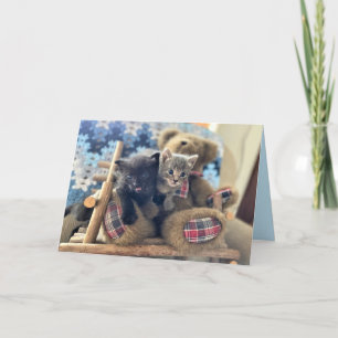 Merlin & Guinevere (1)- Kat / KeukenWenskaart Kaart