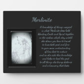 Merlinite Crystal Fairy Fotoplaat (Voorkant)