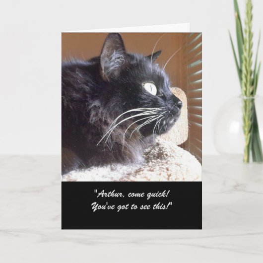 Merlin's Uitzicht Story Wenskaart Kaart (Voorkant)