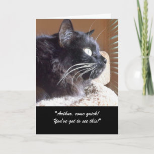 Merlin's Uitzicht Story Wenskaart Kaart