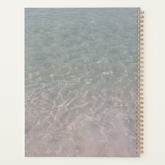 Mermaid Apple Ocean Teacher (Dos)