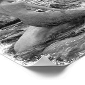 Mermaid en Dolphin Poster (Hoek)