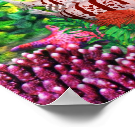 Mermaid Fantasea Poster (Hoek)