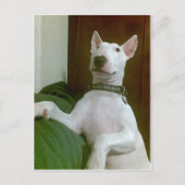 merra briefkaart (Voorkant)