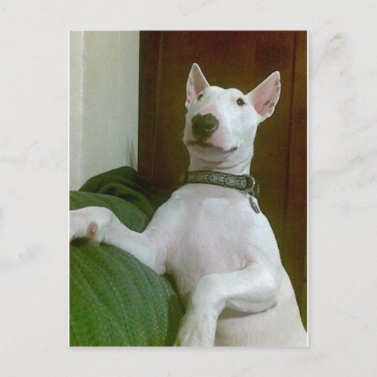 merra briefkaart (Voorkant)