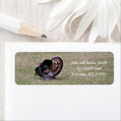 Merriam Wild Turkey Return Address Label (Insitu)