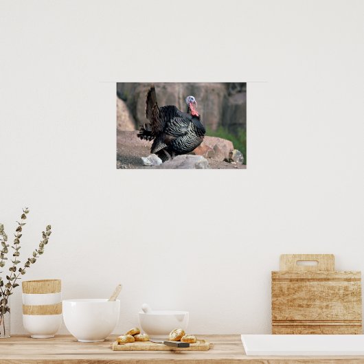 Merriams wilde kalkoen, struikgewas poster (Keuken)