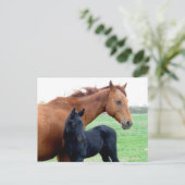 Merrie en Haar Veulen Briefkaart (Staand voorkant)