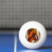 merrie en pony ping pong bal pingpongballen (Net)