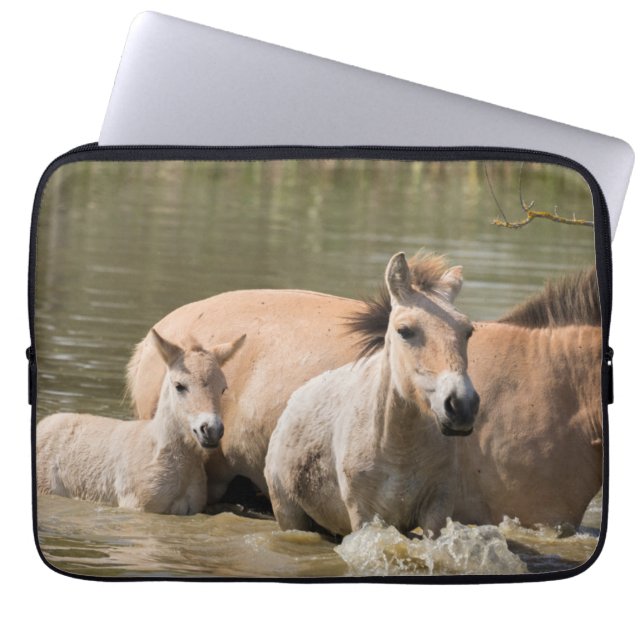 Merrie met veulen die een rivier oversteekt laptop sleeve (Voorkant)