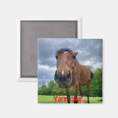 merriemaakmagneet magneet (Voorkant / Achterkant)