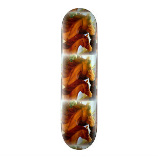merries en pony's skateboard
