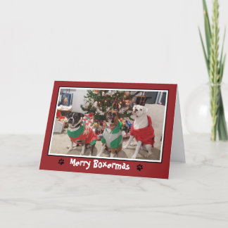 Merry Boxermas Boxer Dog-kerstfeestkaart Feestdagen Kaart