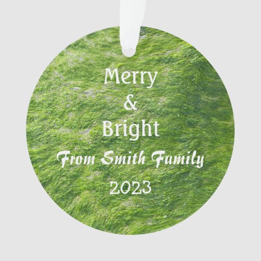 Merry & Bright Christmas Custom Name Zee Moss Gift Ornament (voorkant)