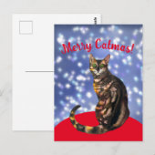 Merry Catmas, bengaals Briefkaart van katten (Voorkant / Achterkant)