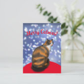Merry Catmas, marmelade cat Carte postale (Debout devant)