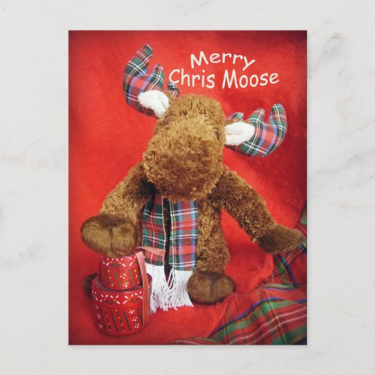 Merry Chris Moose Feestdagenkaart (Voorkant)