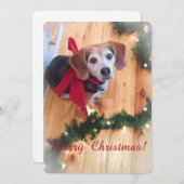 Merry Christmas Beagle Flat Kaart (Voorkant / Achterkant)