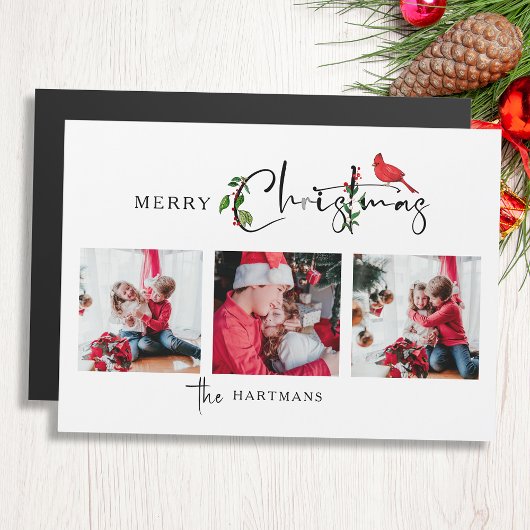 Merry Christmas Calligraphy Botanical 3 Photo