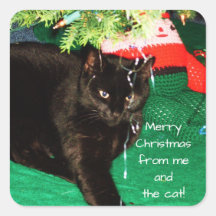 MERRY CHRISTMAS DES autocollants CAT
