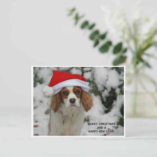 Merry Christmas from Charly Feestdagenkaart (Staand voorkant)