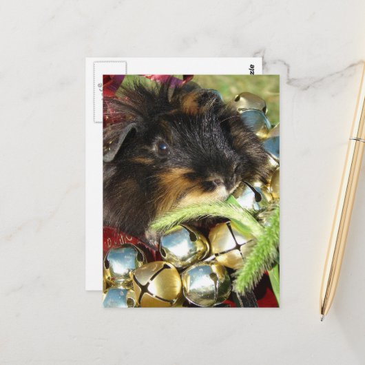 Merry Christmas Guinea Pig Briefkaart (Voorkant / Achterkant in situ)