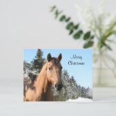 Merry Christmas horse Feestdagenkaart (Staand voorkant)