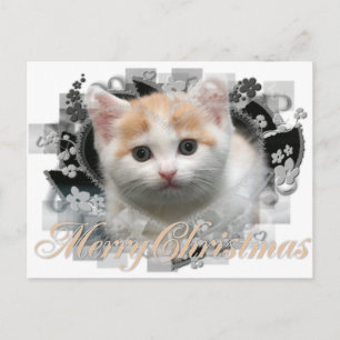 Merry Christmas Kitten - Cartes postales de vacanc