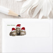 Merry Christmas Kittens label (Insitu)