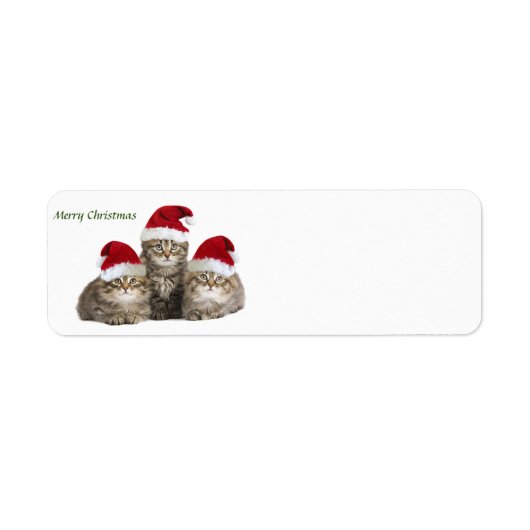 Merry Christmas Kittens label (Voorkant)