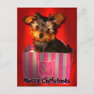 Merry Christmas Little Yorkie Feestdagenkaart