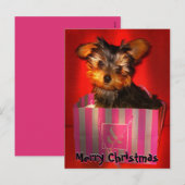 Merry Christmas Little Yorkie Feestdagenkaart (Voorkant / Achterkant)