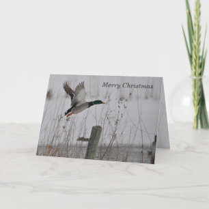 Merry Christmas Mallard Duck Kaart beroemd gemaakt