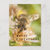 Merry Christmas Moth on Flower Briefkaart (Voorkant)