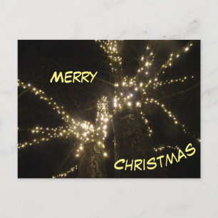 Merry Christmas Outdoor Tree Lights Briefkaart