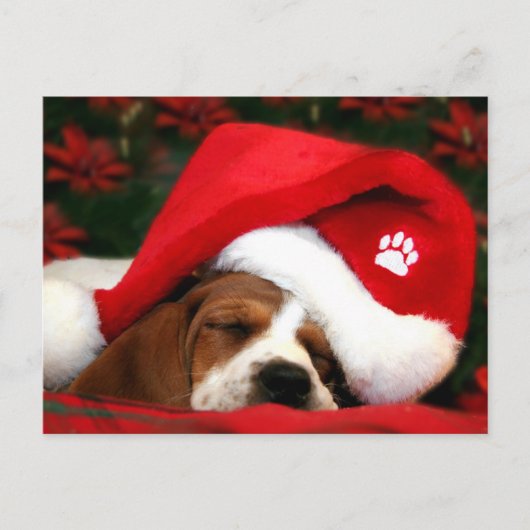 Merry Christmas Puppy postkaart Feestdagenkaart (Voorkant)