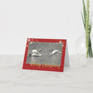 Merry Christmas Swan Family Feestdagen Kaart