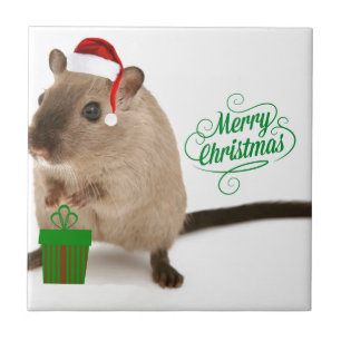 Merry Christus Tegeltje