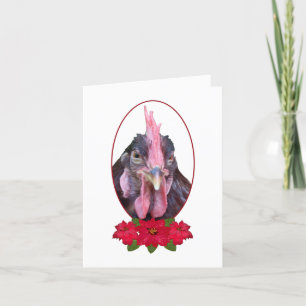 Merry Clucking kerst Chicken Poinsettia Feestdagen Kaart