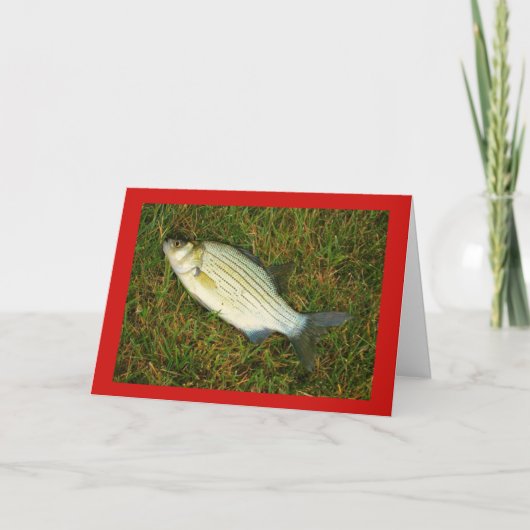 Merry Fishmas. Feestdagen Kaart (Voorkant)