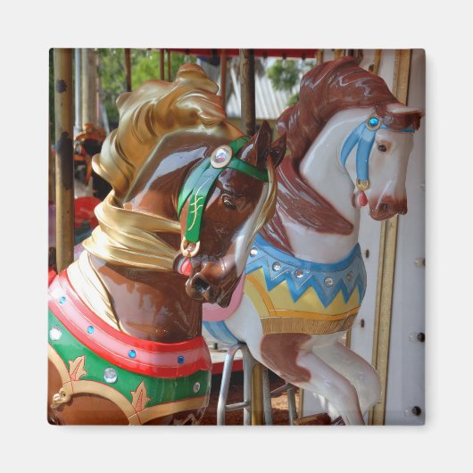 Merry-Go-Round Horses Magneet (Voorkant)