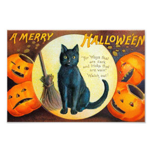 Merry Halloween Cat Foto Afdruk