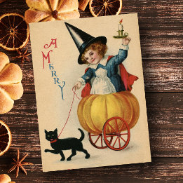  Merry Halloween-heks met kat Feestdagenkaart
