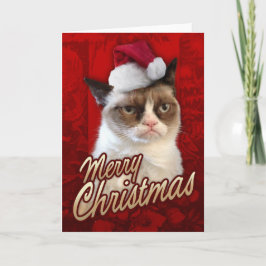 Merry kerst bruy kat feestdagen kaart